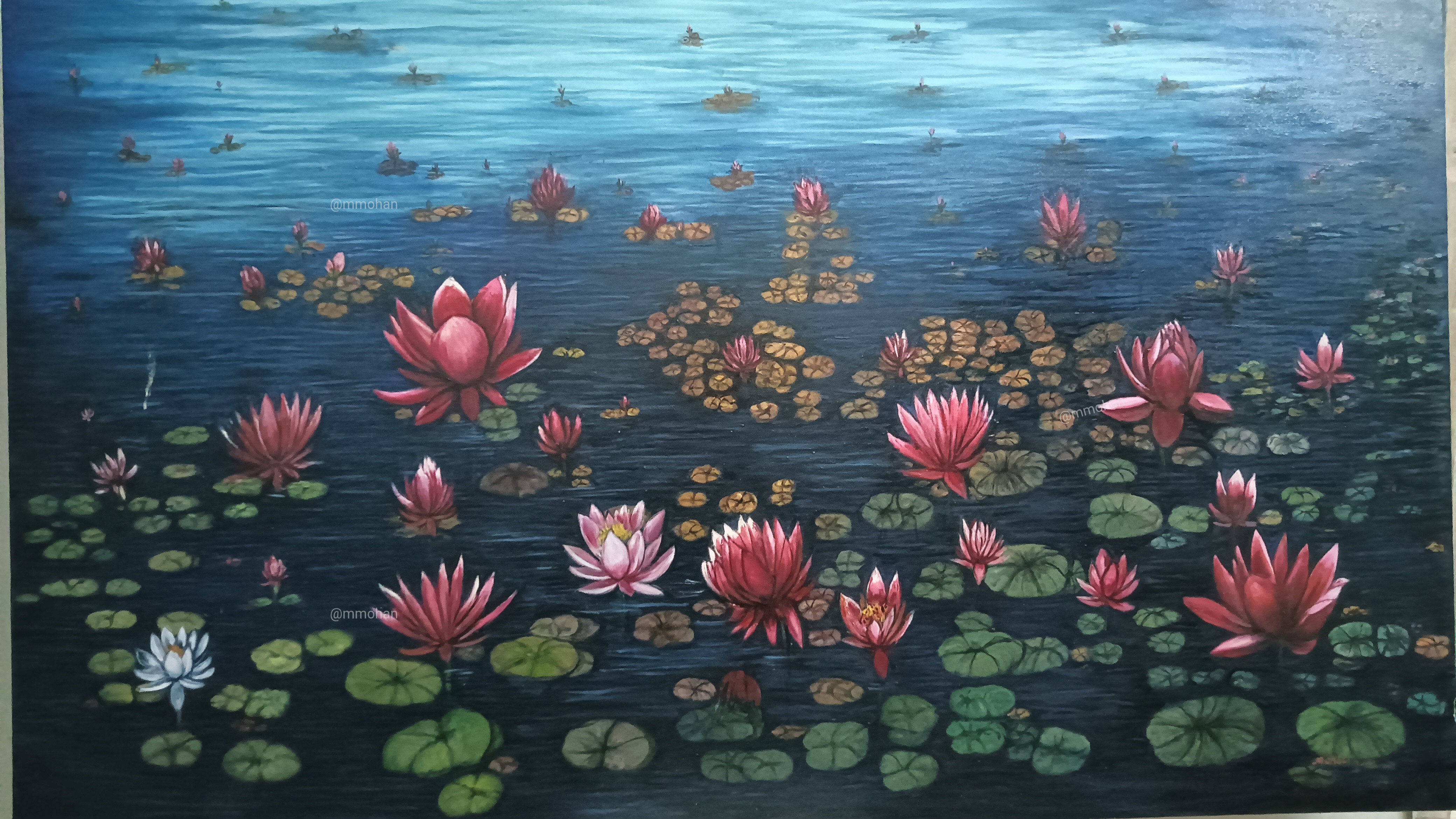 Lotus pond