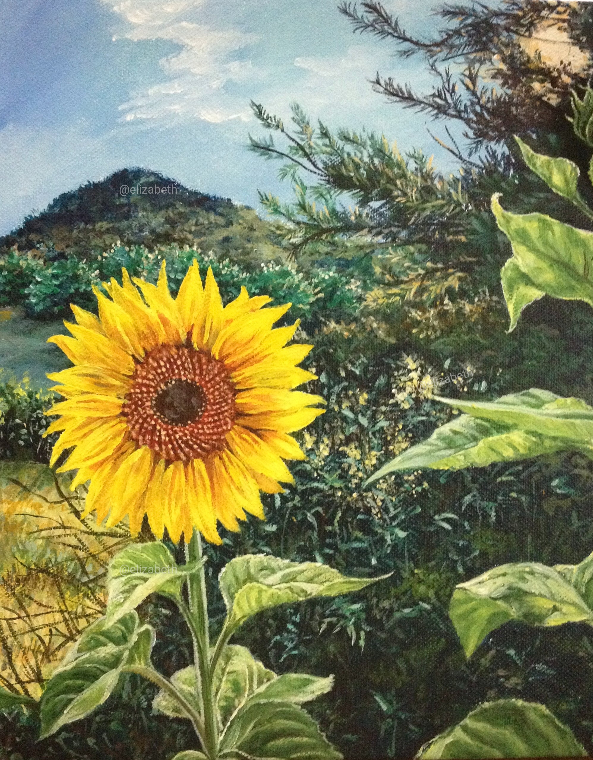 The Sunflower